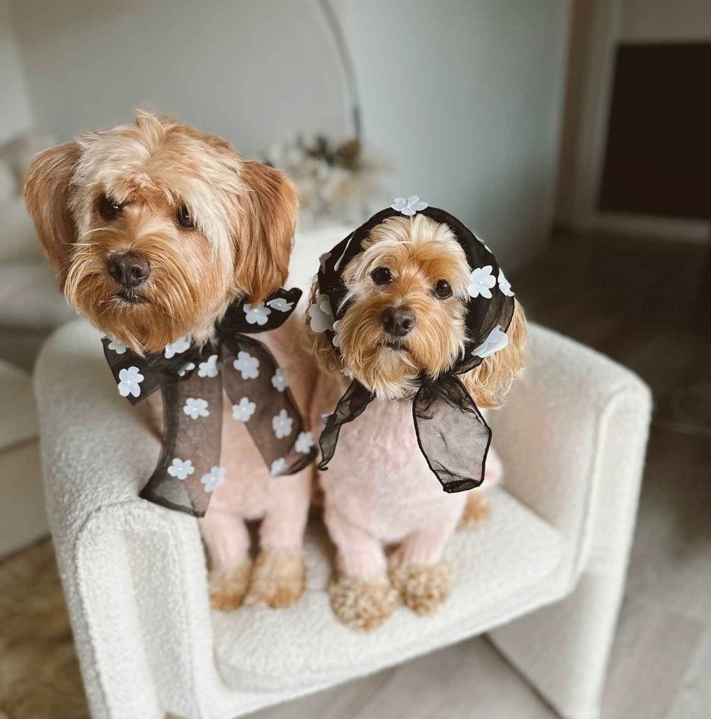 Bow Tie Flowers